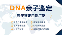 武汉市办理匿名DNA亲子鉴定多久出结果，武汉市隐私亲子鉴定需要提供什么