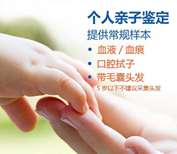 武汉市亲子鉴定收费标准是多少，武汉市匿名亲子鉴定办理的流程